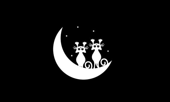 Cat Design for T Shirt Review